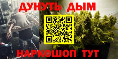 крисы Малгобек