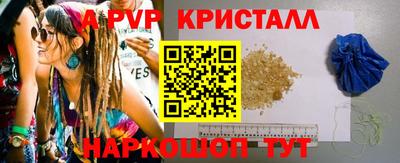 крисы Малгобек